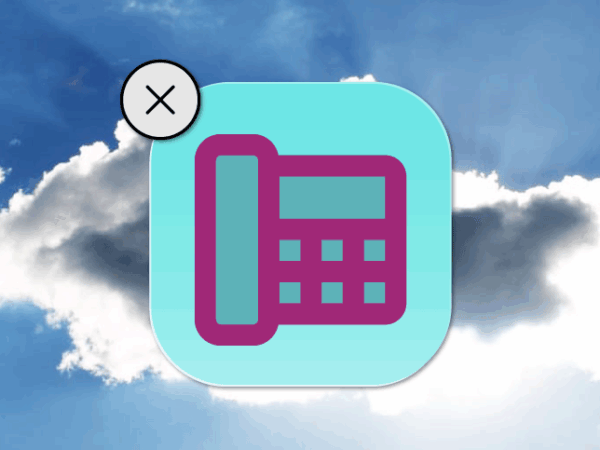 The Phone System App