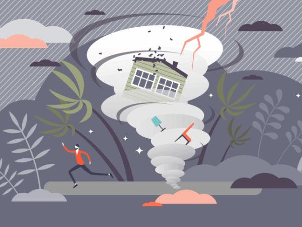 Do We Need Disaster Planning?