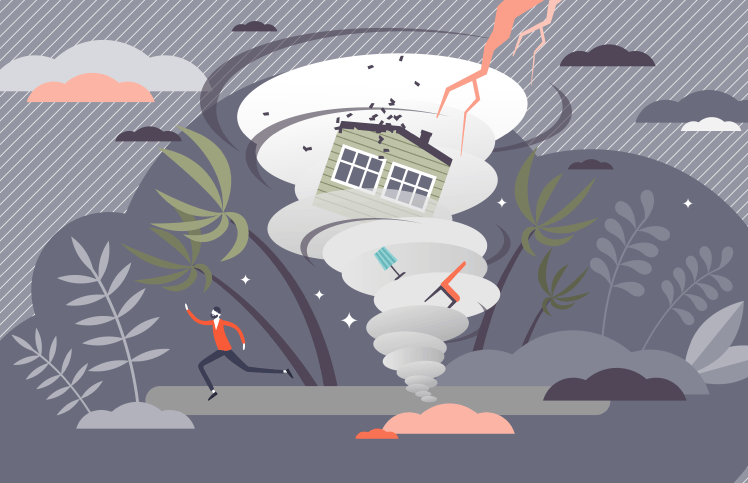 Do We Need Disaster Planning?